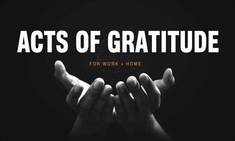 Three Simple Ways to Show Gratitude to Your Team