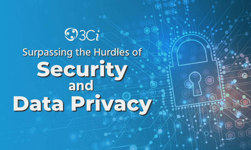 Suprassing the Hurdles of Security and Data Privacy