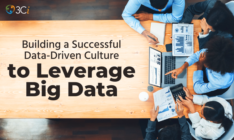 Building a Successful Data-Driven Culture to Leverage Big Data